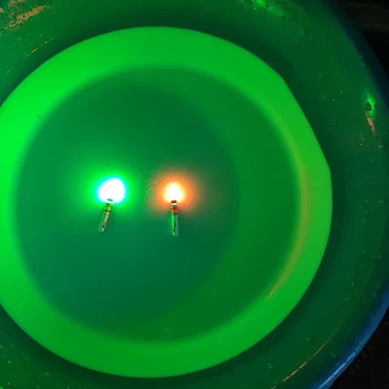 10 bâtons lumineux vert/rouge LED pour pêche nocturne - fonctionne avec piles CR322