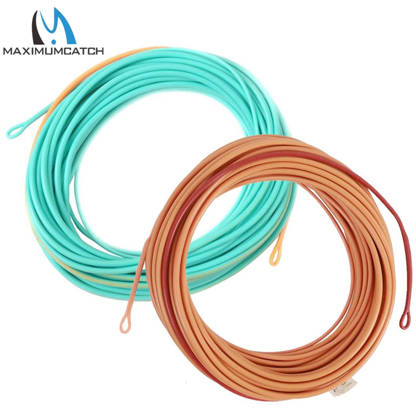 Ligne de pêche à la mouche Skagit flottante double couleur 17-29m 200-650gr avec pointes amovibles