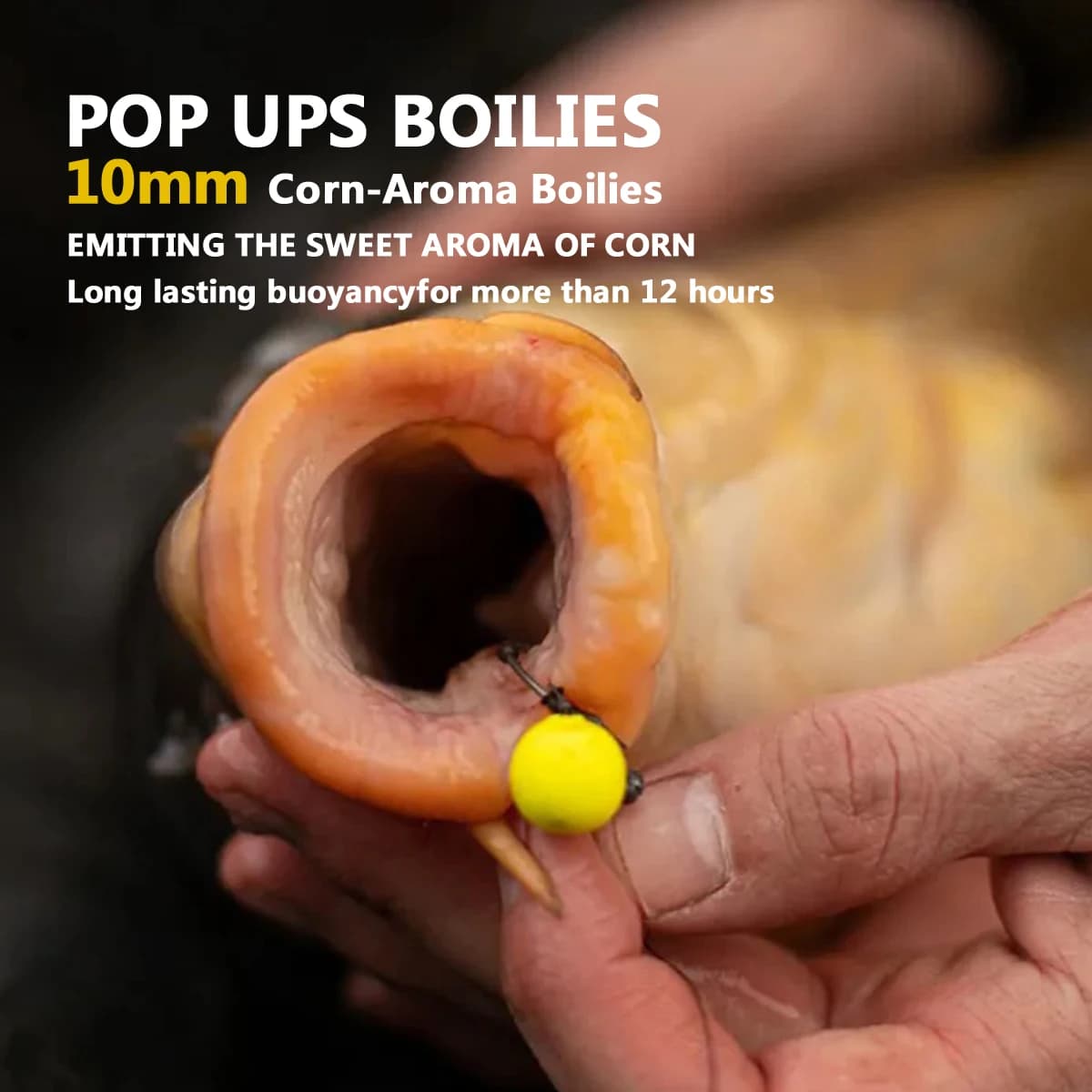 Bouillettes pop-up saveur patate douce 10-16mm - appât premium pour grosses carpes en eau libre