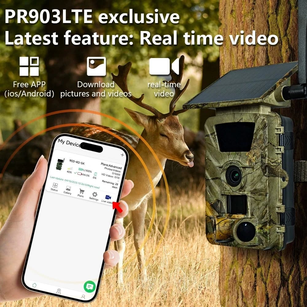 Caméra trail 4G 60MP 5K étanche IP66 envoie photos et vidéos sur téléphone