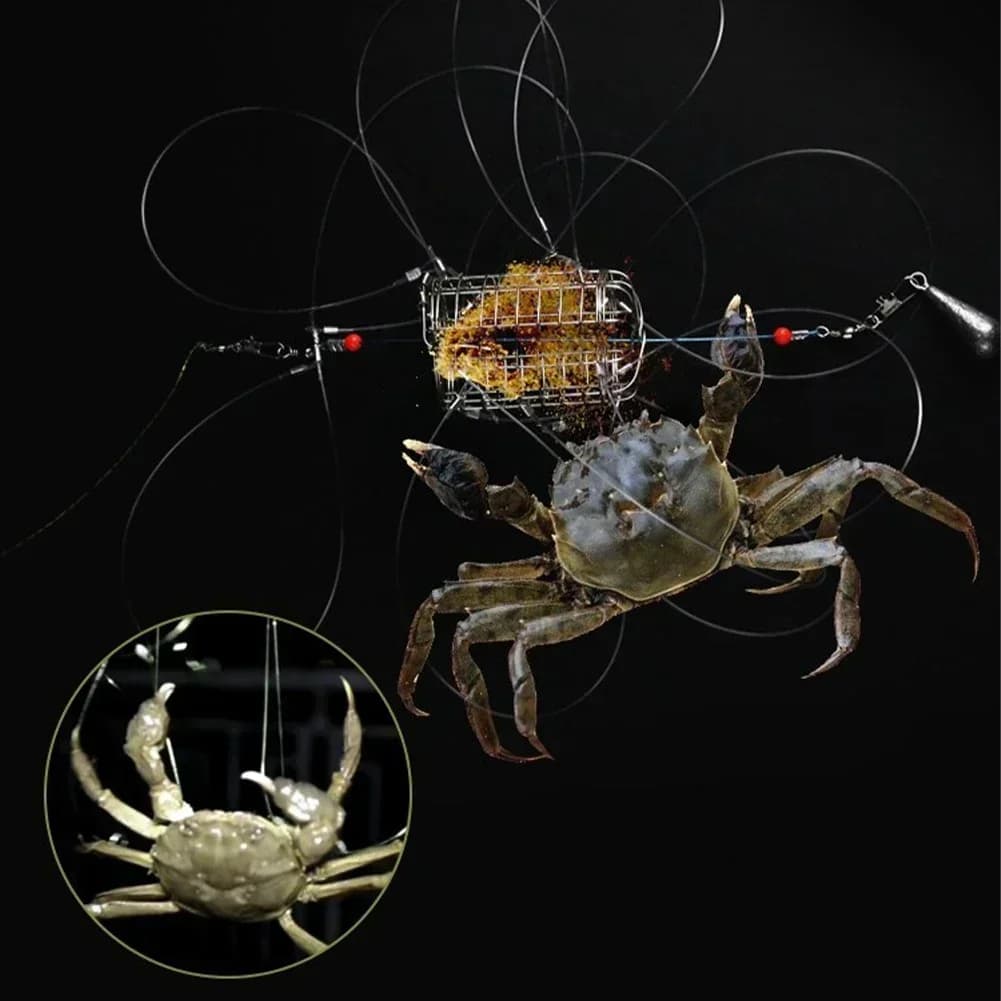 Piège à crabes en acier inoxydable avec appât - Cage de pêche pour crustacés et poissons