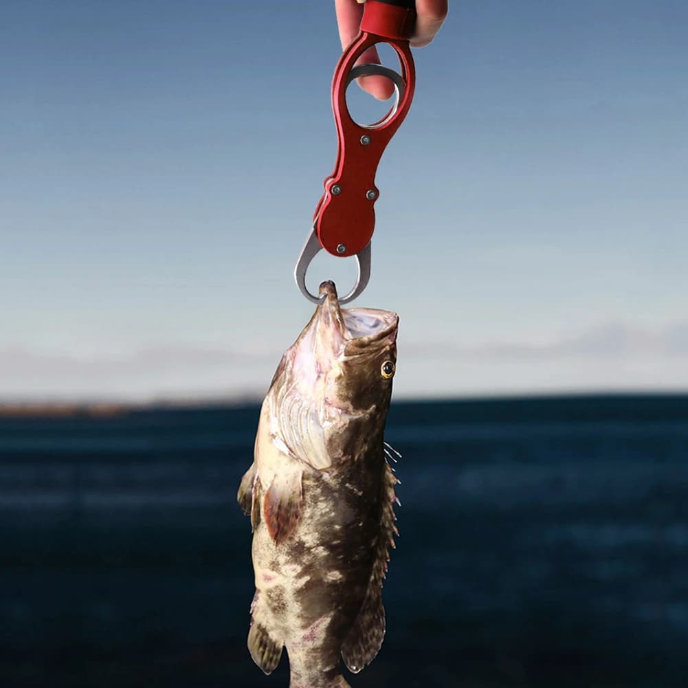 Pince à peser poisson Laimané avec balance intégrée - pince à lèvres et pèse-ligne professionnel pour pêche