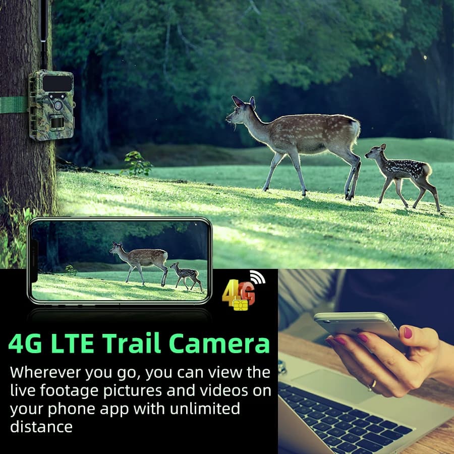 Caméra cellulaire 4G LTE 2.7K HD - Contrôle APP détection mouvement étanche faune chasse avec carte SIM