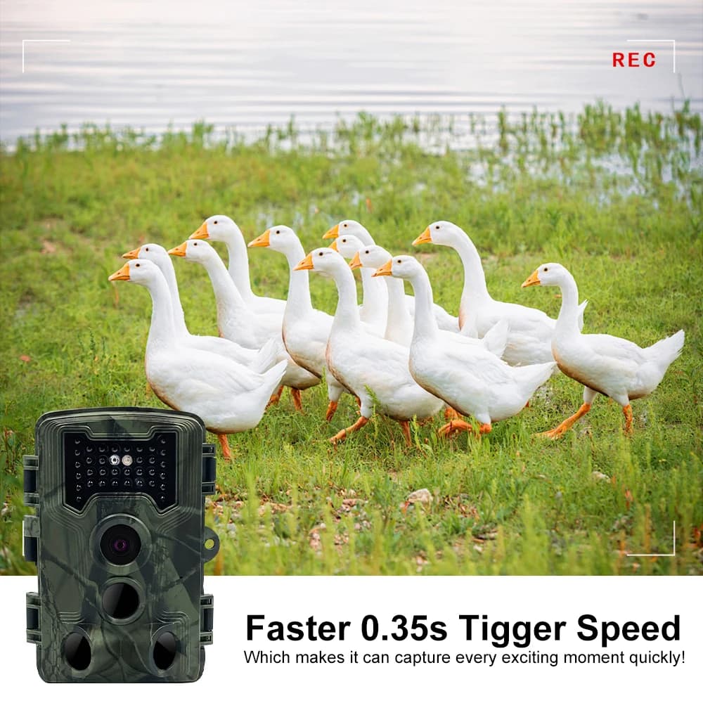 Mini caméra de piste chasse 36MP 1080P - Vision nocturne détection mouvement piège photo surveillance faune