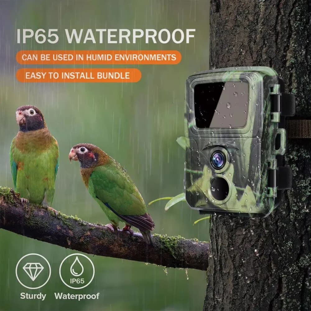 Mini caméra trail chasse 20MP 1080P IP65 étanche - Surveillance forêt animaux vision nocturne tracking
