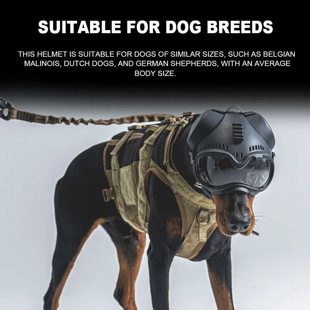 Casque de protection tactique pour chien de chasse - Équipement sécurité canin pêche