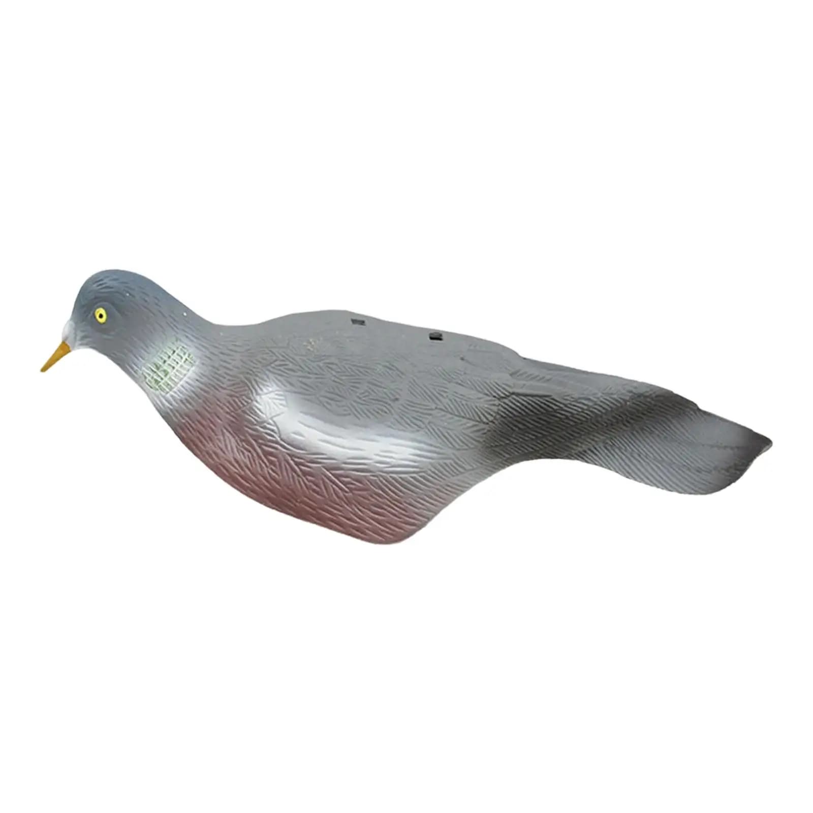 Leurre colombe réaliste pour jardin - Épouvantail oiseaux durable pour chasse et décoration extérieure