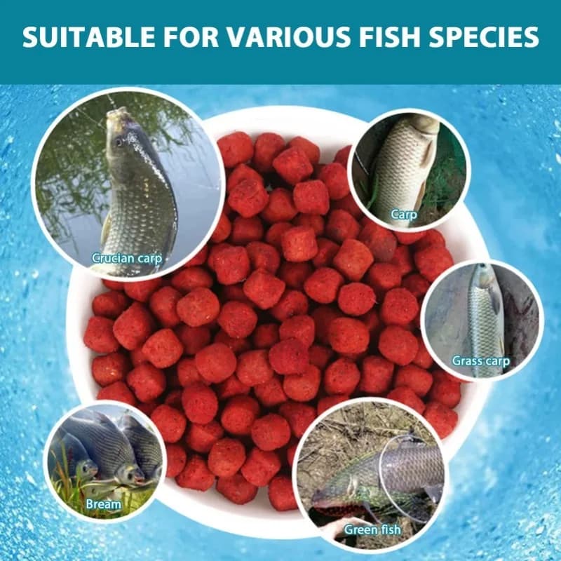 Appât pellet humide protéiné concentré pêche facile - Accessoires pêche pratique