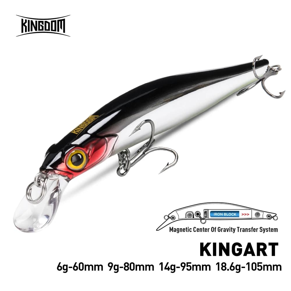 Leurre dur crankbait minnow pour bar et truite de mer, leurre nageur avec action attractive pour
