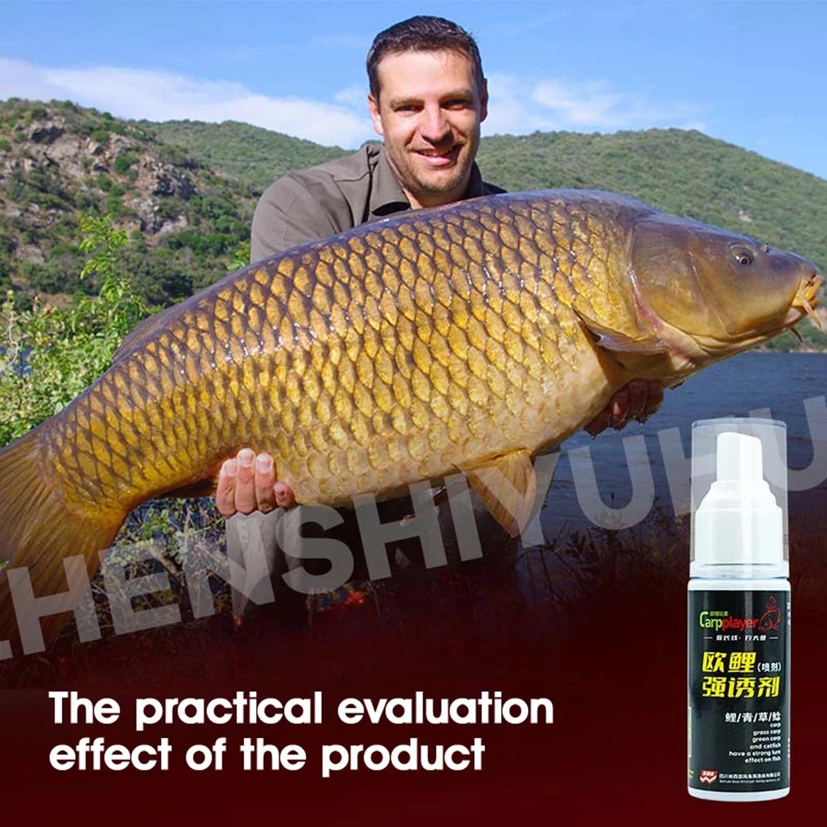 Spray attractant appâts 50ml parfum sucré toutes saisons pour grosses carpes silures