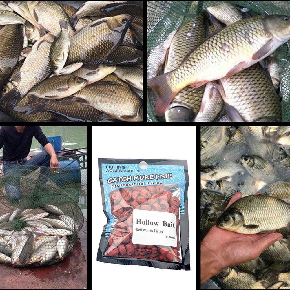 Appât creux universel pour carpe et carassin - facile à utiliser pêche tous poissons