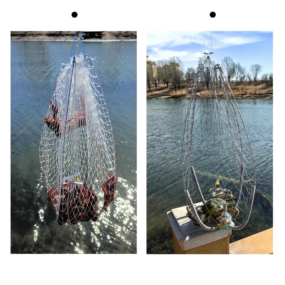 Cage à crabes anti-morsure 60cm avec filet élastique - Équipement professionnel pêche sous-marine