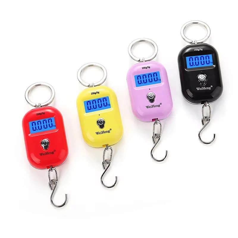 Mini balance suspendue portable 25kg/5g LCD numérique pour pêche bagages voyage pesée porte-clés