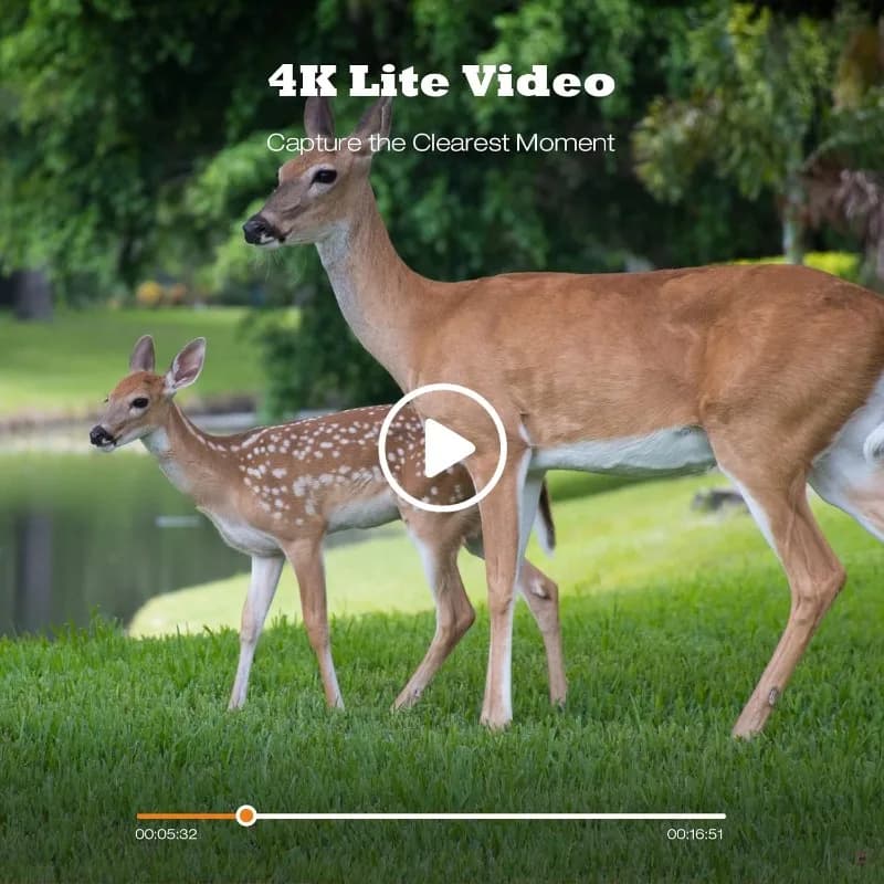 Caméra de chasse SunTekCam 50MP 4K vision nocturne IP66 étanche piège photo 0.2s déclenchement rapide