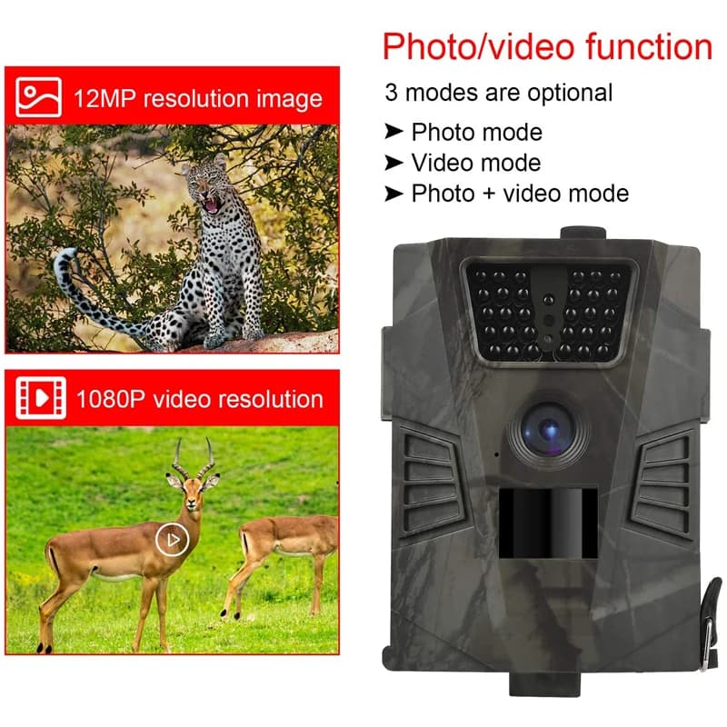 Caméra trail 12MP 1080P étanche IP65 pour observation faune chasse pistage animaux sauvages