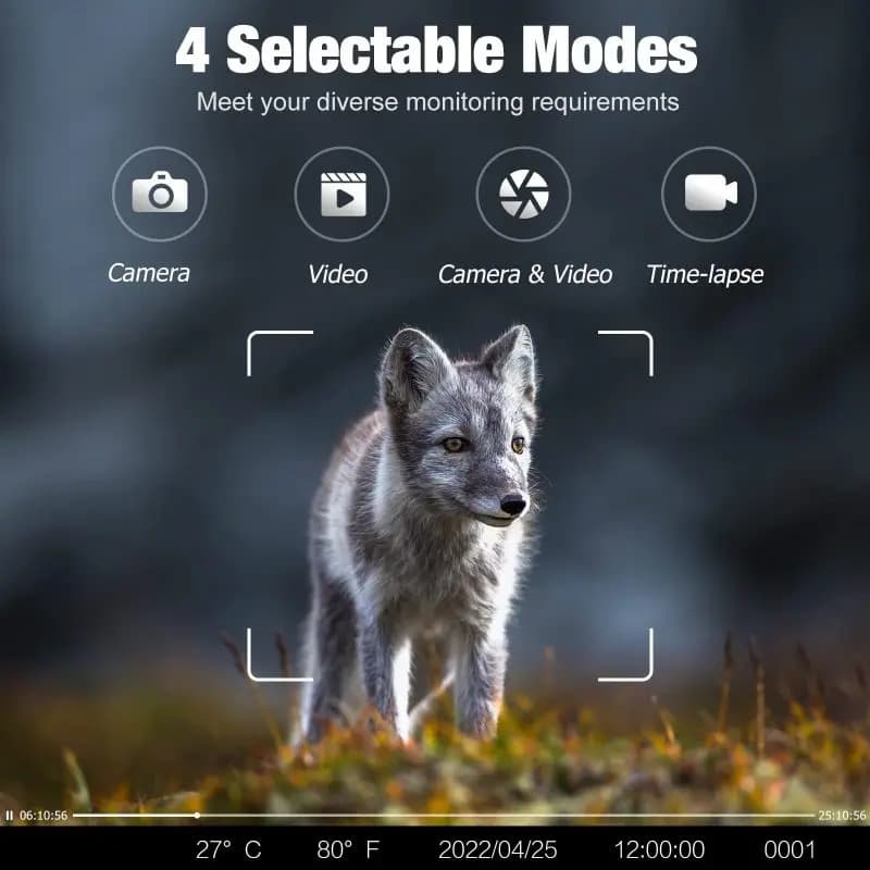 Caméra wildlife 4G 4K 36MP waterproof IP66 - Vision nocturne IR invisible et détection 120°