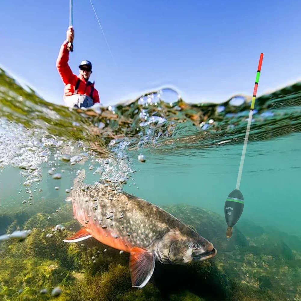 Flotteur vertical balsa 15g à 30g pêche mer - Flotteur professionnel pour carpe et pêche sportive
