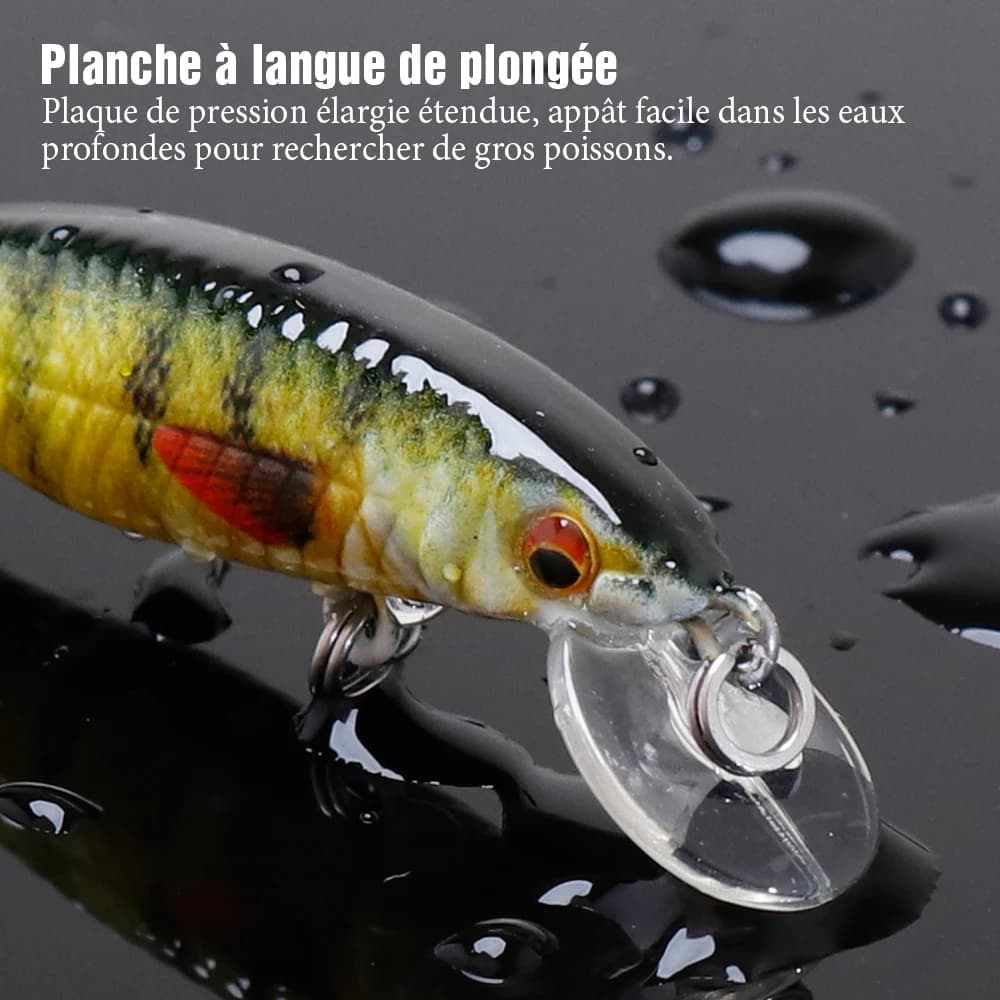 Leurre dur pêche carnassiers VTAVTA Mini Minnow 2g 6g 12g, crankbait flottant pour brochet et perche