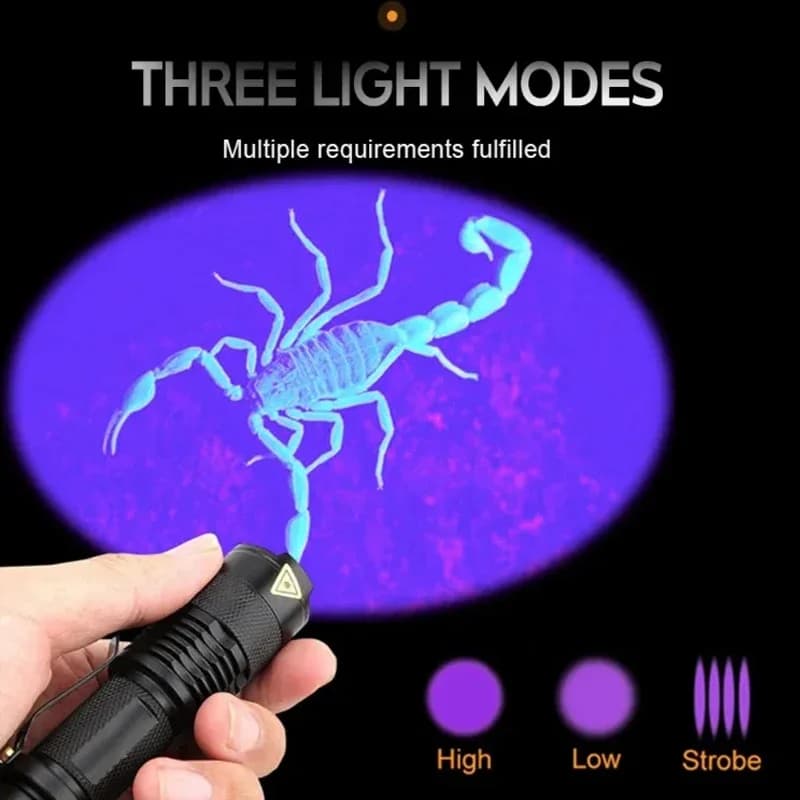 Lampe torche UV portable 365/395nm détecteur urines animaux pour chasse pêche et inspection