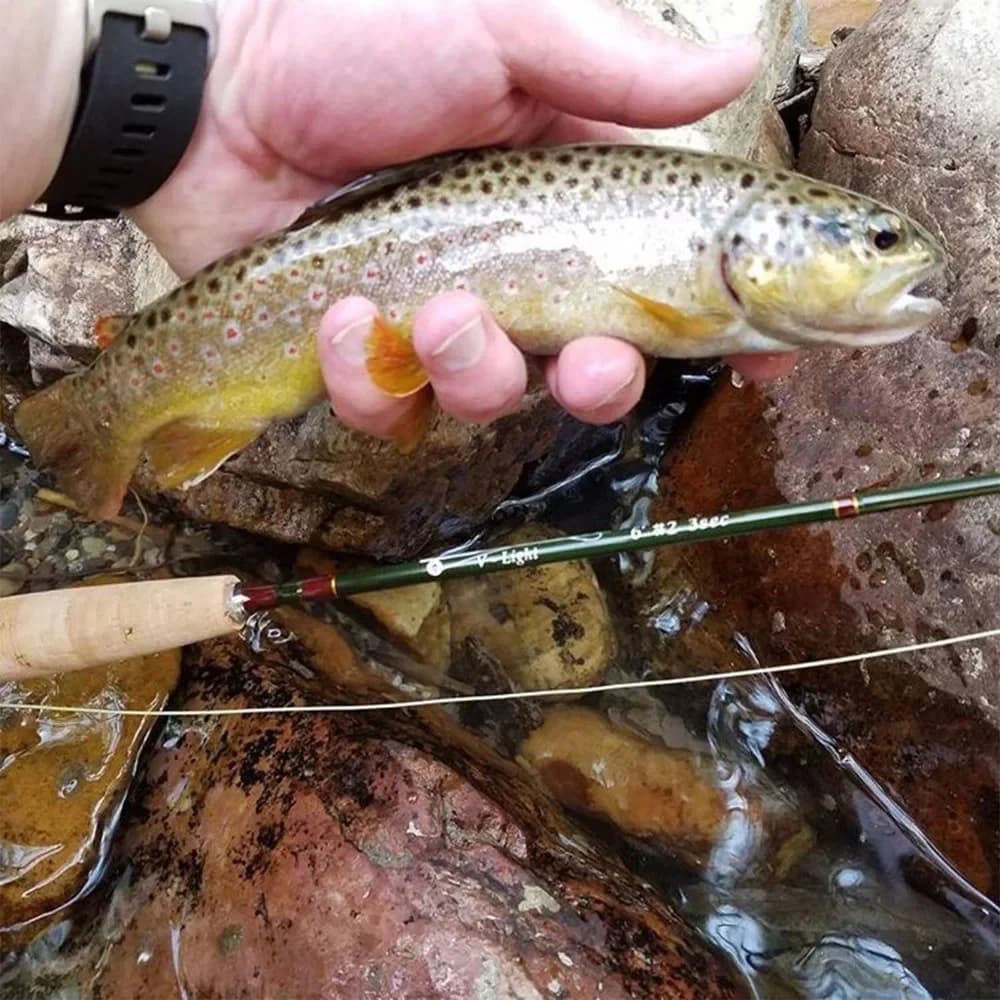 Canne à mouche MAXIMUMCATCH Small Stream Creek 6ft 1-3wt carbone IM10 ultra légère pour pêche en ruisseau