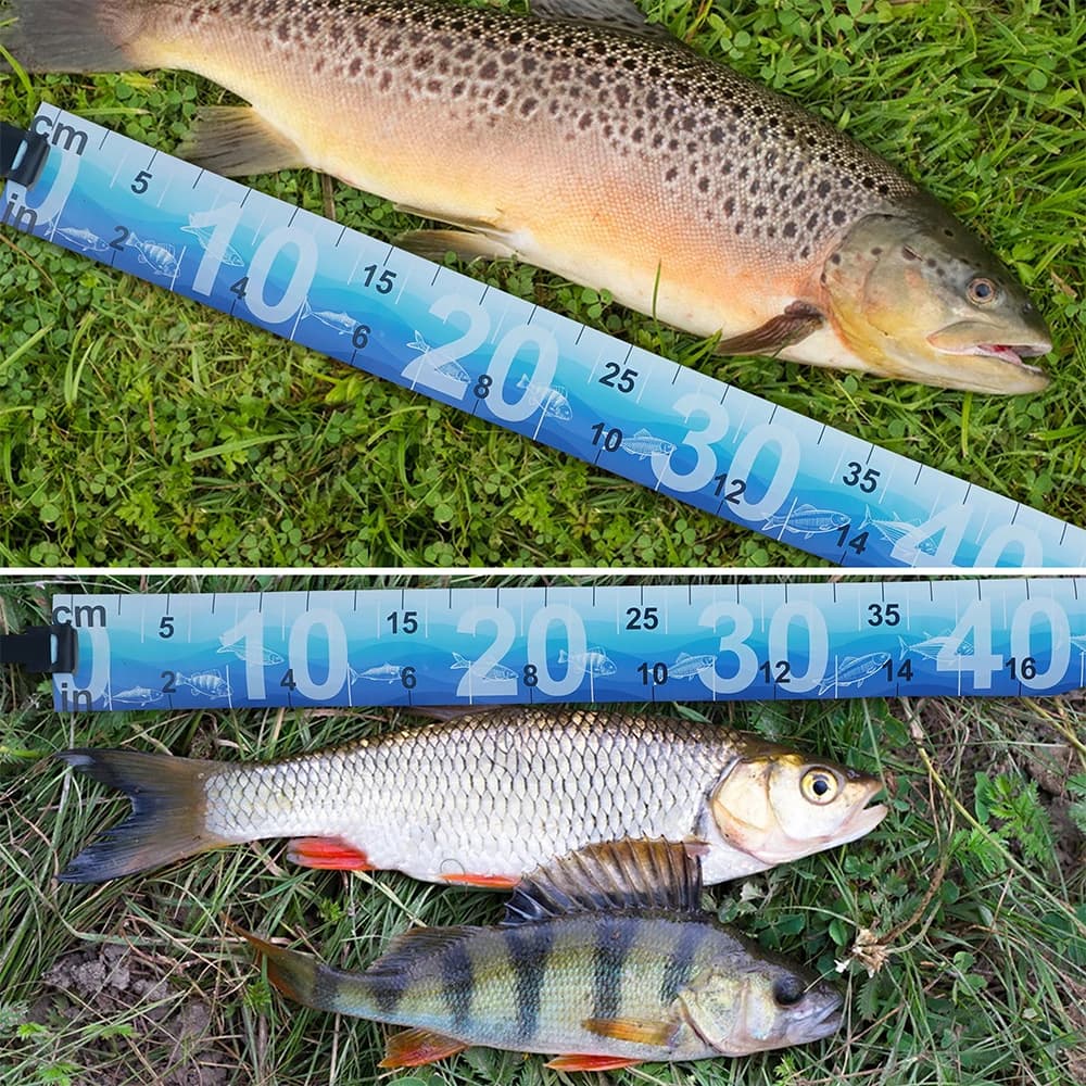 Mètre à poisson pliable étanche autocollant - ruban de mesure pour pêche en eau douce et eau salée