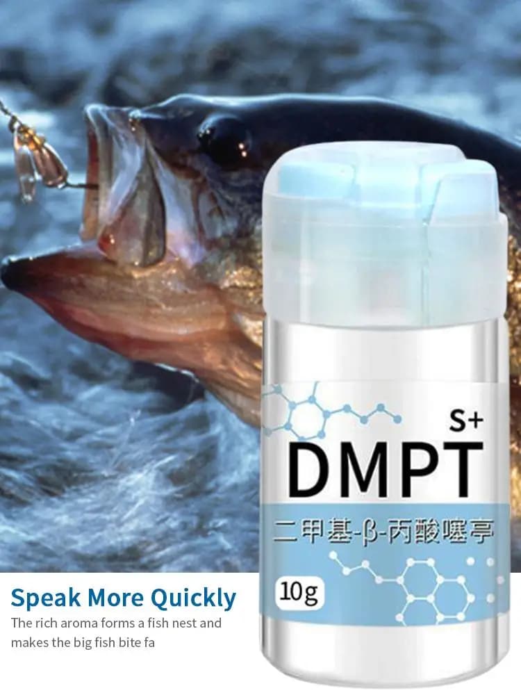 Gel attractant puissant pour appâts de pêche - Scent gel haute concentration sans danger pour poissons