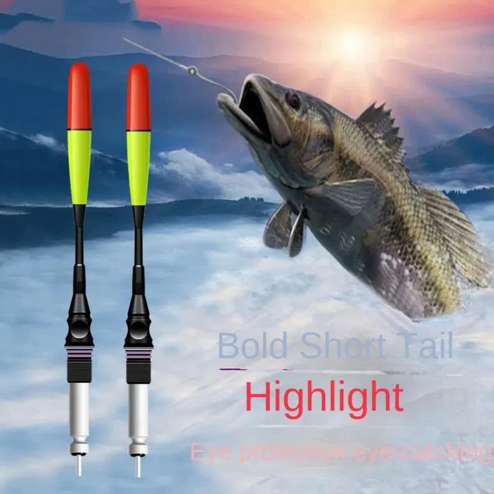 Flotteur LED lumineux ultra sensible pour la pêche de nuit, 2 pièces, montage haut, éclairage puissant
