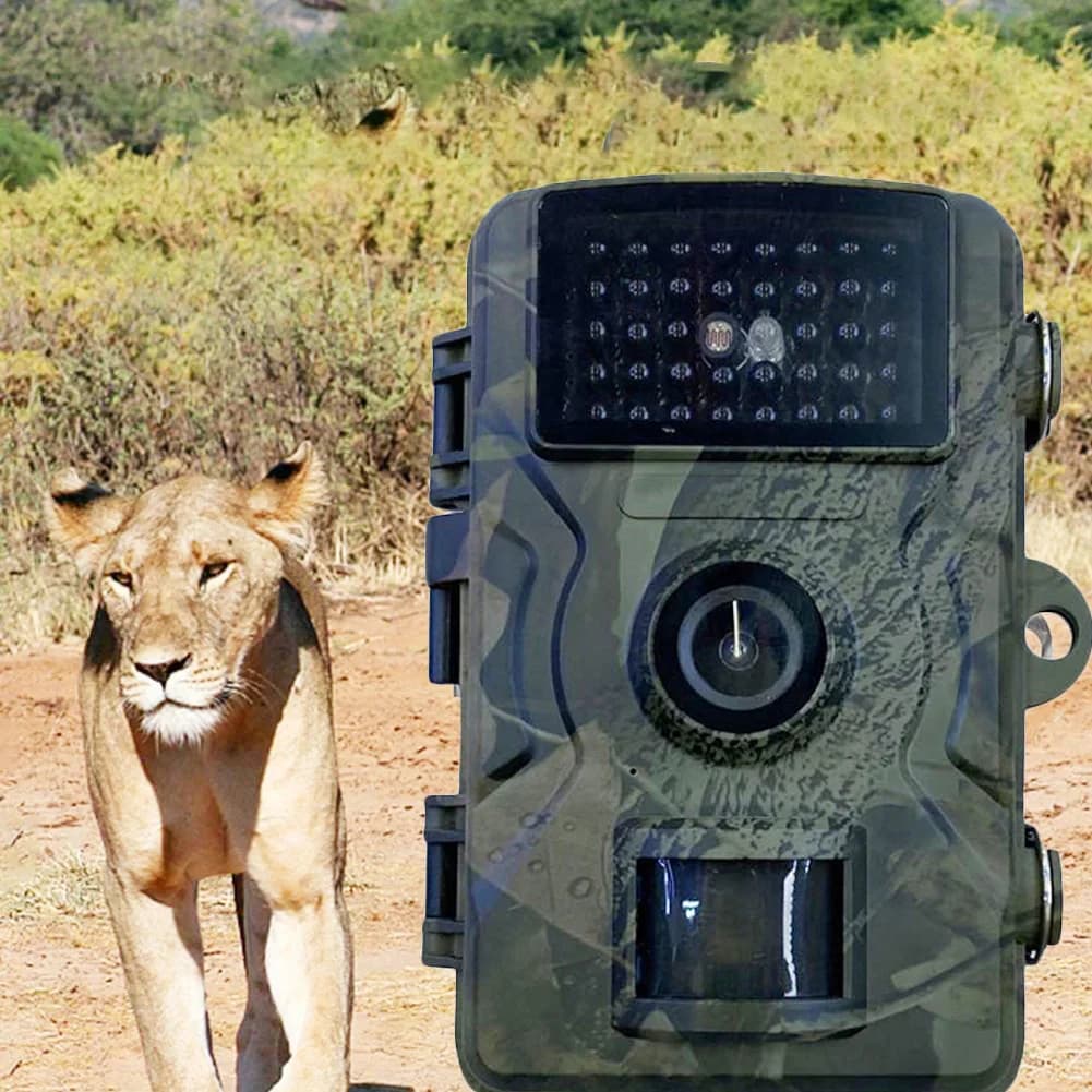 Caméra de chasse étanche à détection mouvement pour observation animaux et piège photo extérieur faune