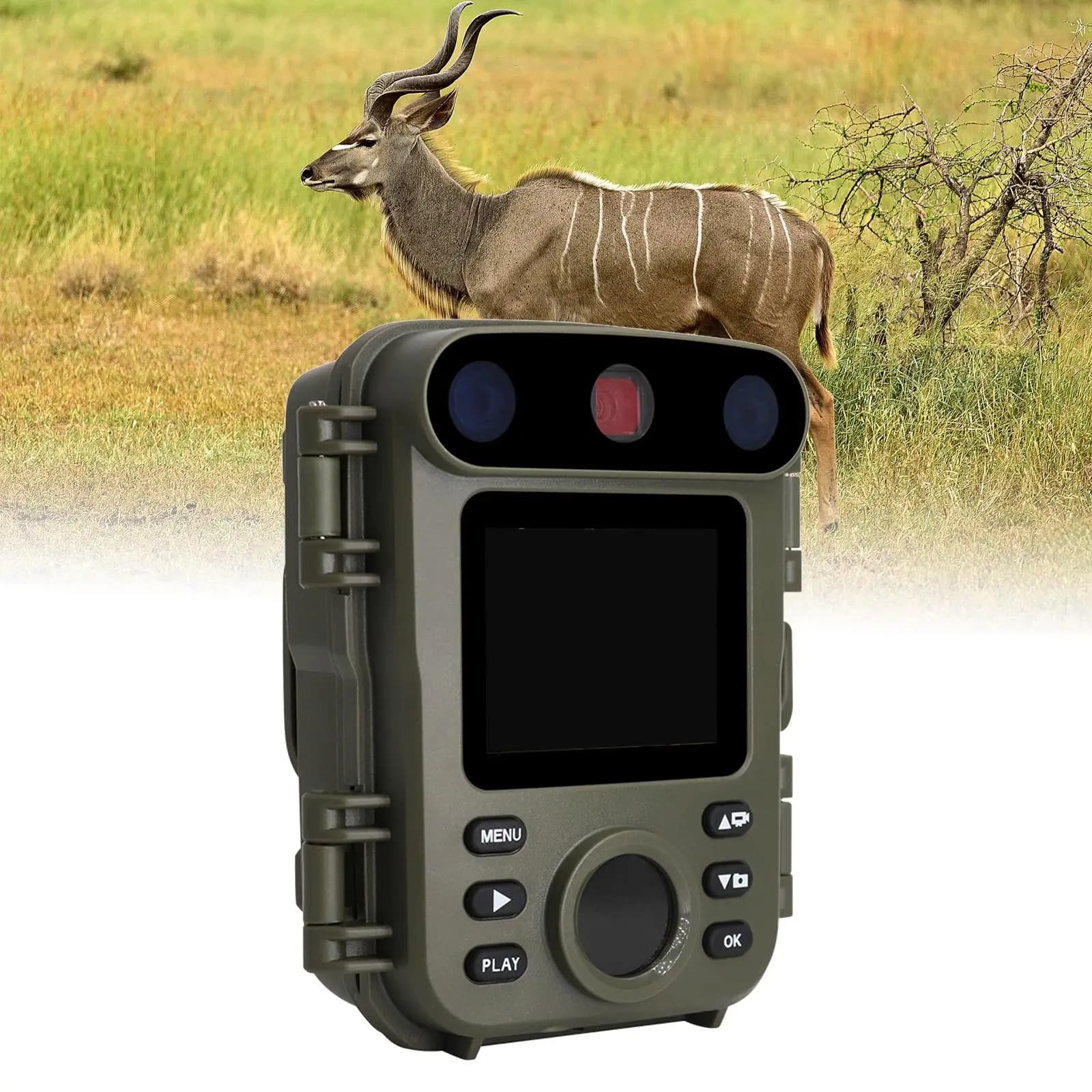 Caméra de piste infrarouge extérieure IP66 étanche pour suivi activité animale et monitoring camping