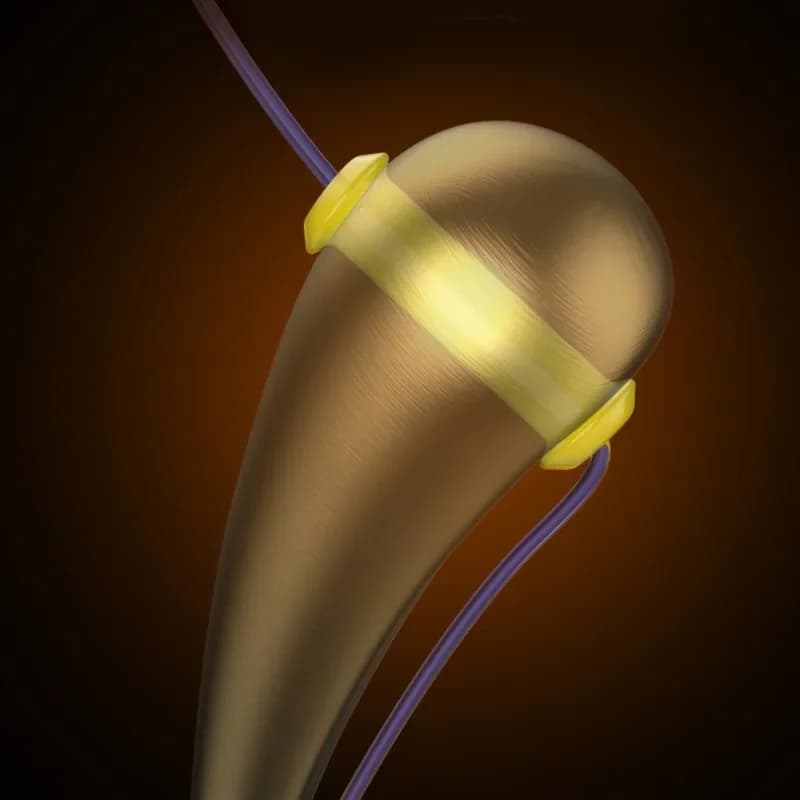 10 hameçons crank haute résistance anti-rouille - pointes ultra-affûtées pour pêche des carnassiers