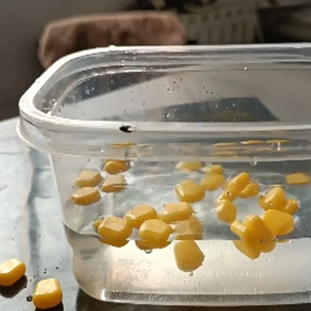 Leurres souples maïs flottants aromatisés - appâts silicone pour carpe amoure et pêche au feeder
