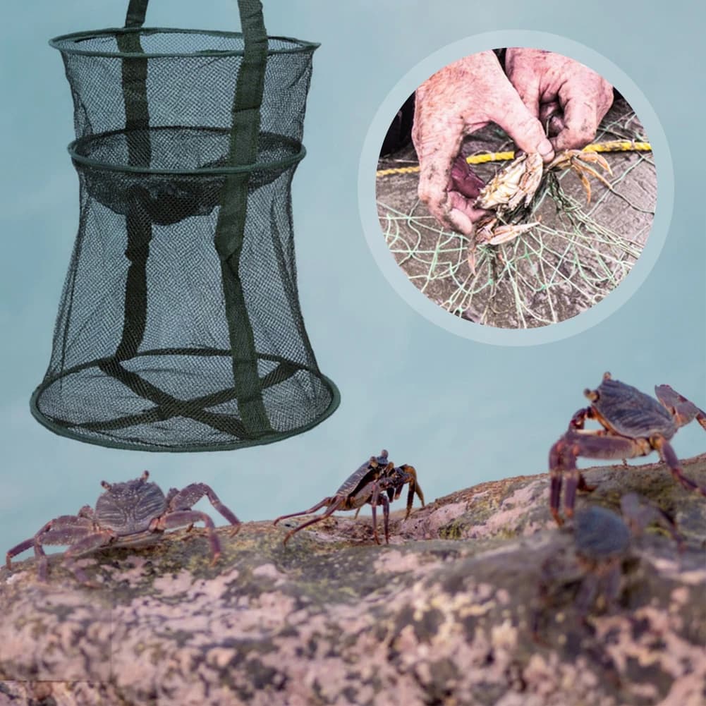 Filet de pêche pliable en maille ronde - Épuisette de débarquement pliable pour poissons et accessoires