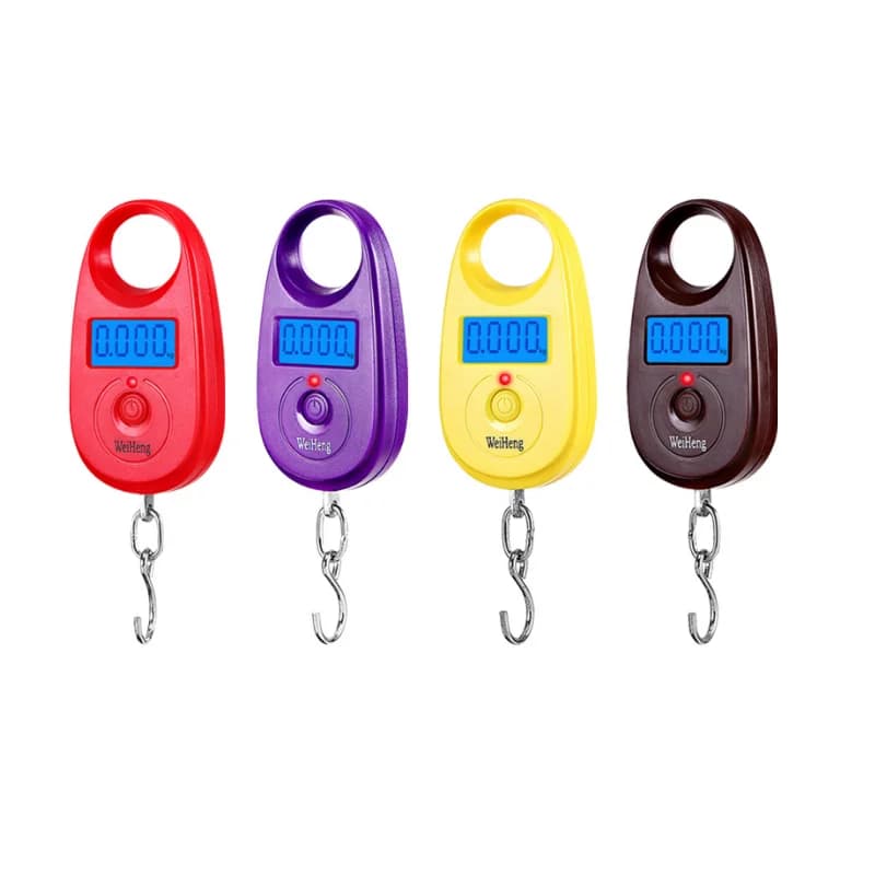 Mini balance pêche numérique portable 25kg x 5g pour bagages voyage clés électronique avec crochet