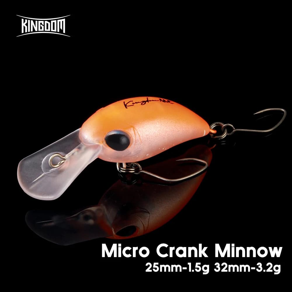 Mini crankbait flottant Kingdom 1.5g 25mm 3.2g 32mm pour truite black-bass - Leurre dur petit poisson nageur