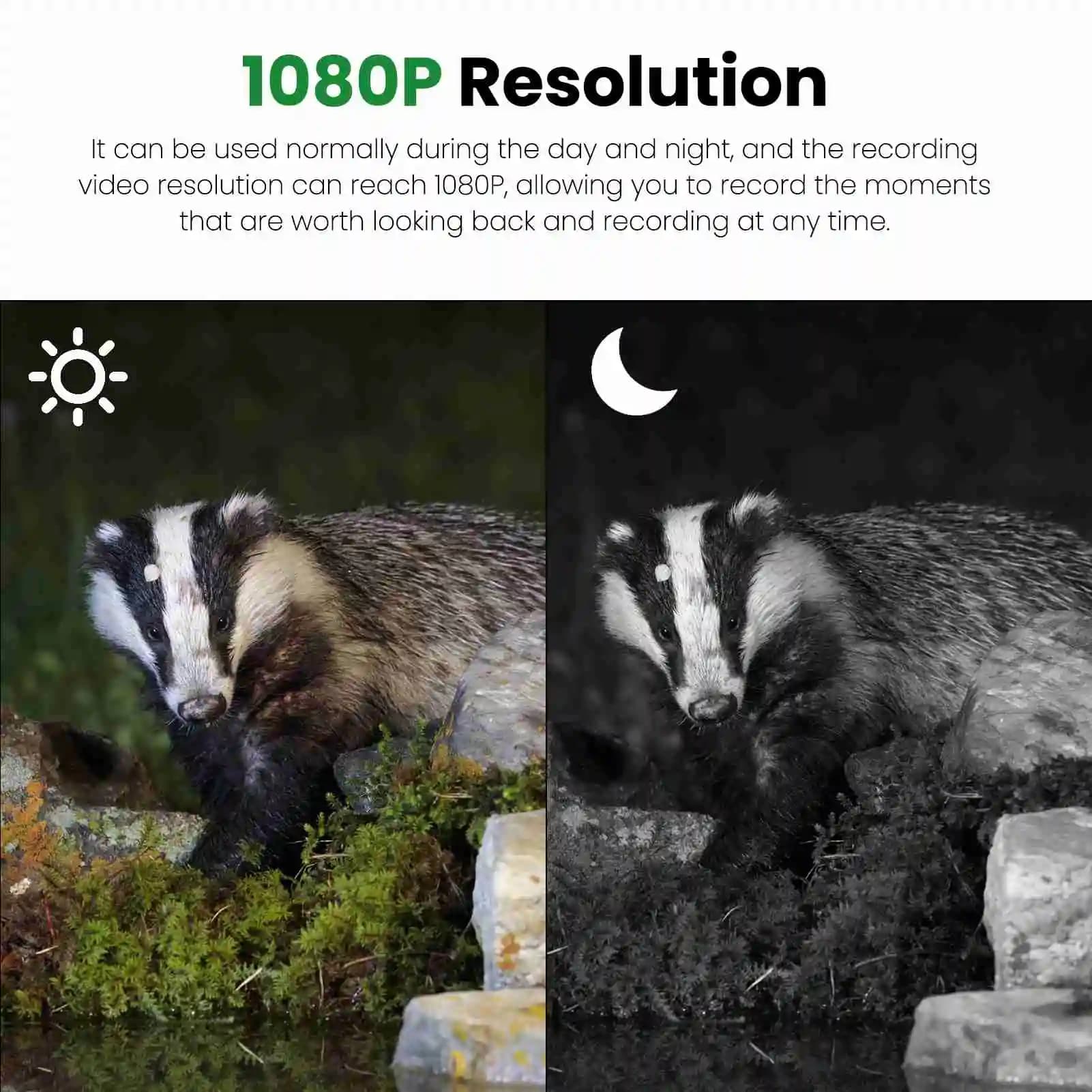 Caméra de surveillance IP66 étanche 1080P HD pour observation extérieure de ferme et terrain