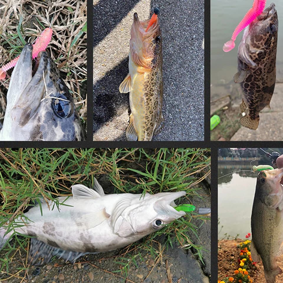 Leurre souple T-tail 10 pièces pour perche et poisson mandarin avec hameçon plombé appât vibrant deux couleurs