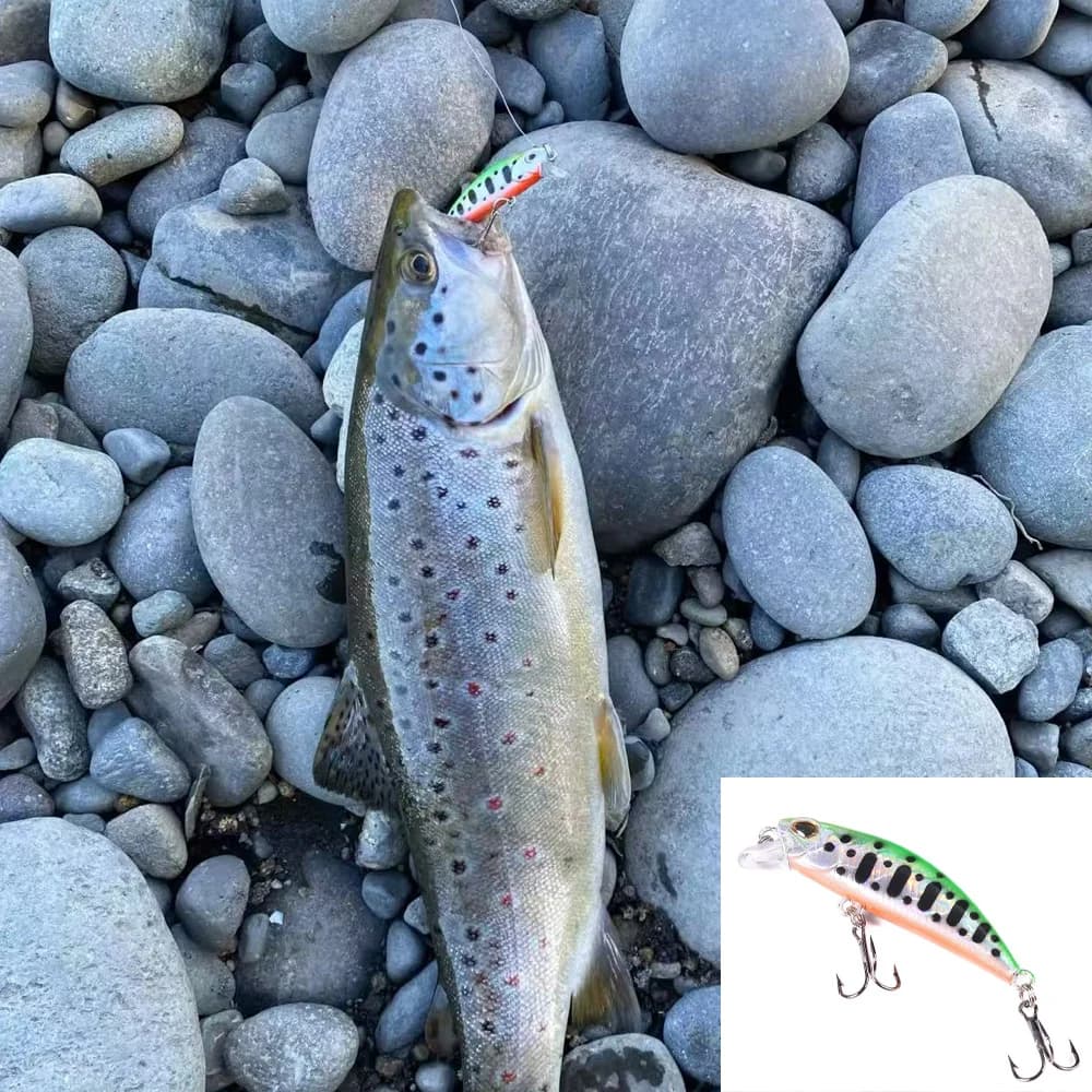 Kit 5 leurres minnow coulants pour truite et bar - Appâts artificiels crankbait et jerkbait flottants