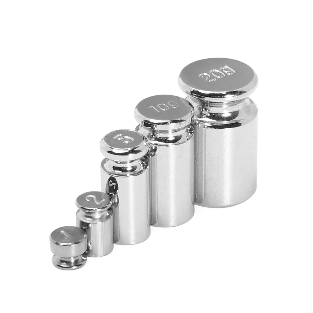 Jeu de poids calibration 1g-100g chromé pour balance pêche précision étalonnage outils professionnels
