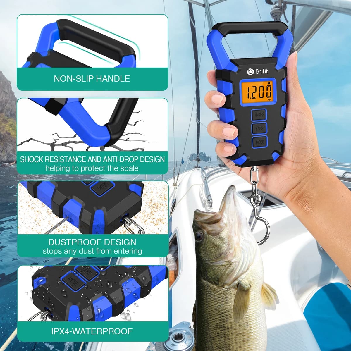 Balance digitale 50kg avec règle portable poissons bagages écran LED pêche