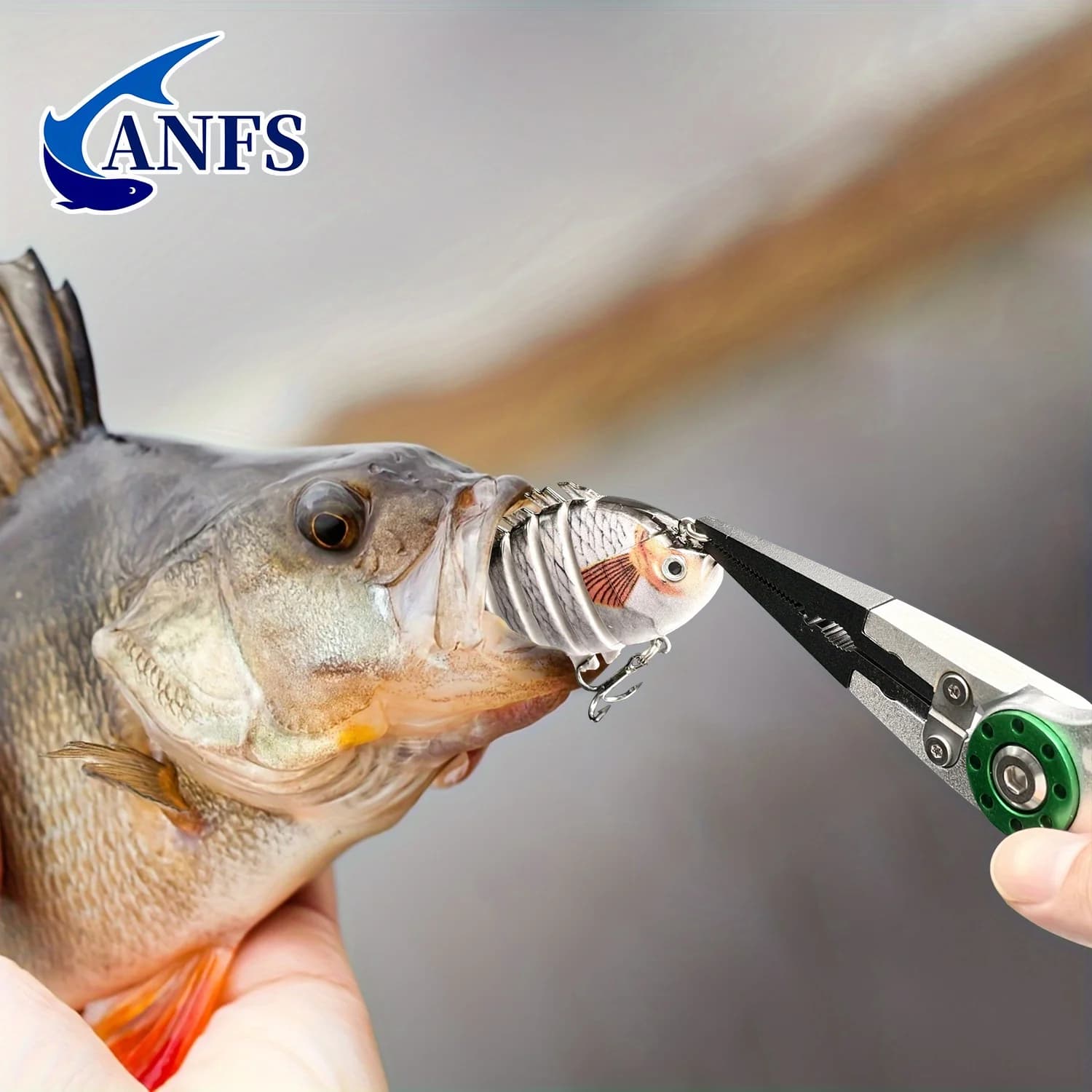 Pince à lèvres ANFS avec balance intégrée 40 livres - Outil de pêche multifonction verrouillable