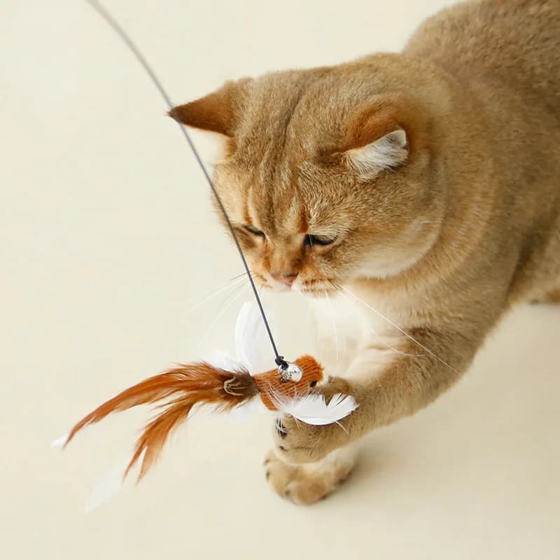 Canne à plume interactive avec clochette et ventouses pour chat, simulation chasse exercice félin
