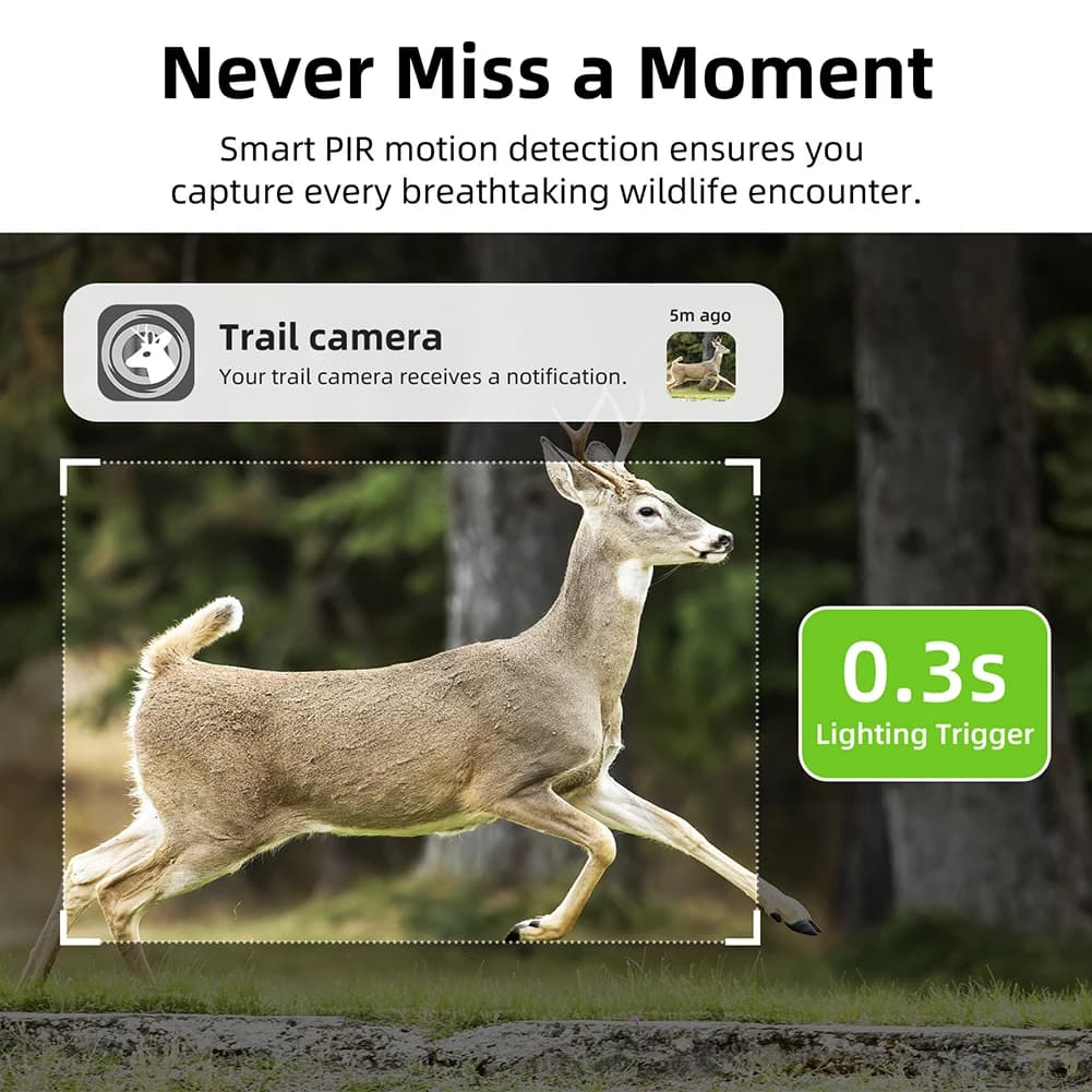 Caméra de chasse F8 4G 2K 14MP solaire déclenchement PIR vision nocturne étanche surveillance