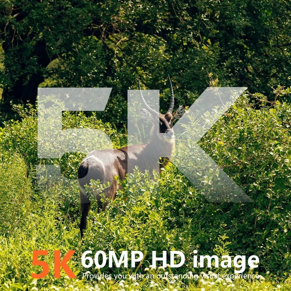 Caméra trail 4G 60MP 5K étanche IP66 envoie photos et vidéos sur téléphone