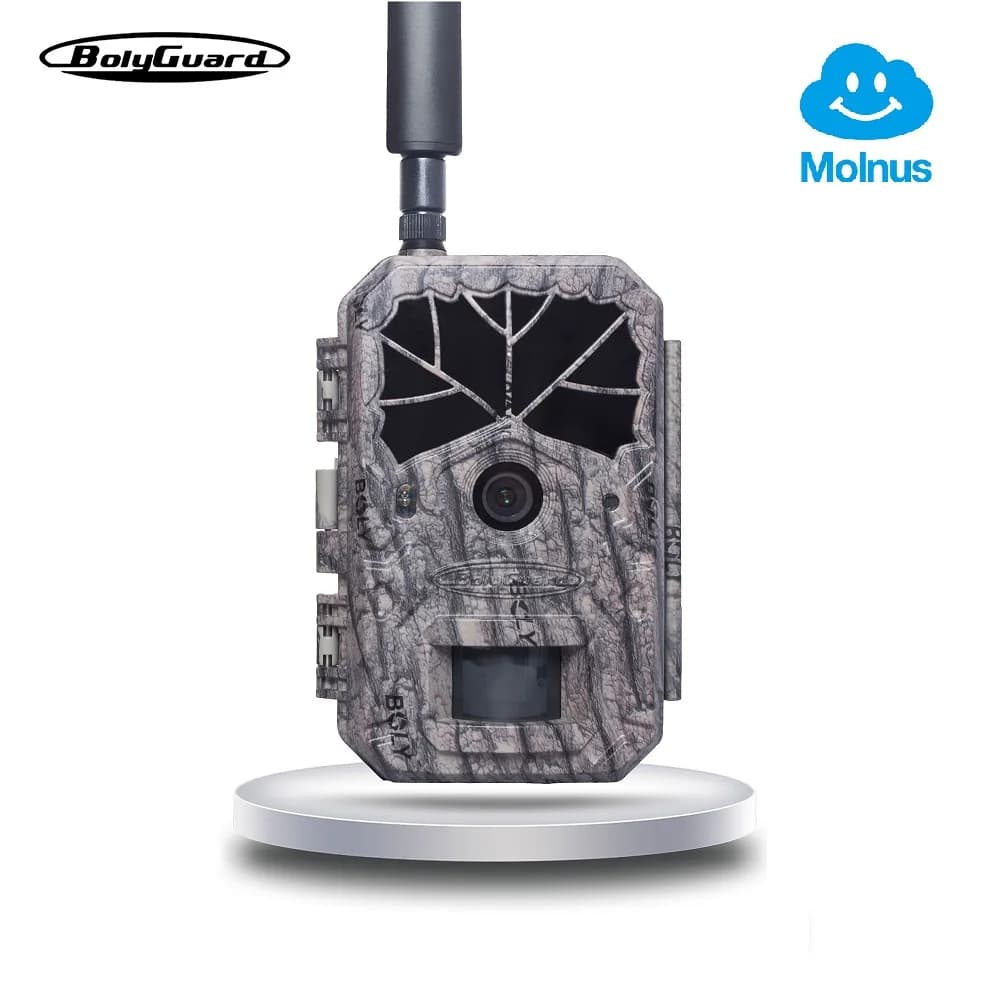 Caméra trail BolyGuard BG636 4G/LTE 36MP cloud Molnus étanche IP68 pour surveillance faune connectée