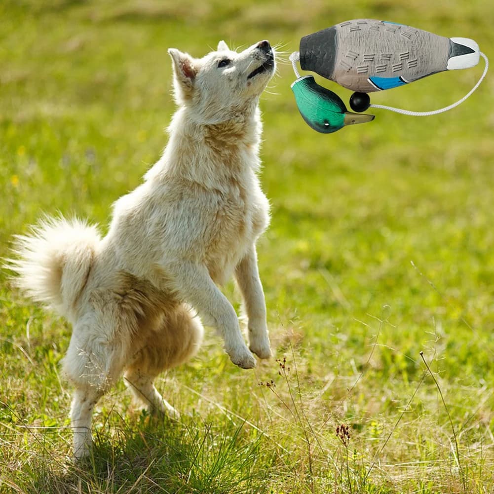 Dummy bumper canard mort pour chiens de chasse - Leurre flottant avec odeur pour entraînement au rapport