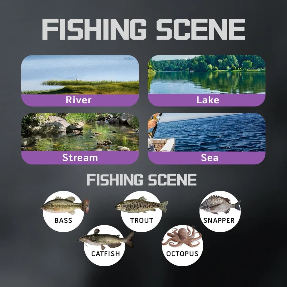 Moulinet baitcasting BFS ultraléger SOLOKING ACURA HICC50 Pro 10+1BB - ratio 7.1/8.1 pour truite et black bass