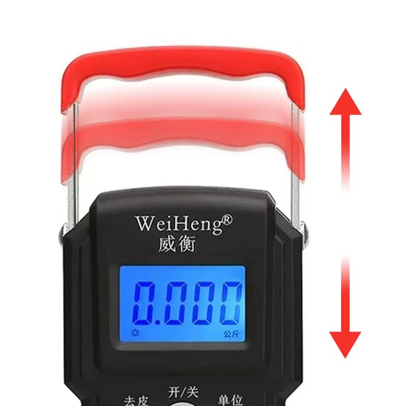 Balance électronique WEIHE 50 kg pour pêche au leurre - Outil portable et précis