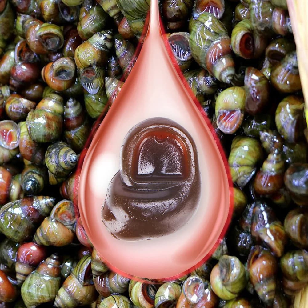 20 leurres escargots flottants pour carpe - Appâts souples réalistes pour technique hair rig et method