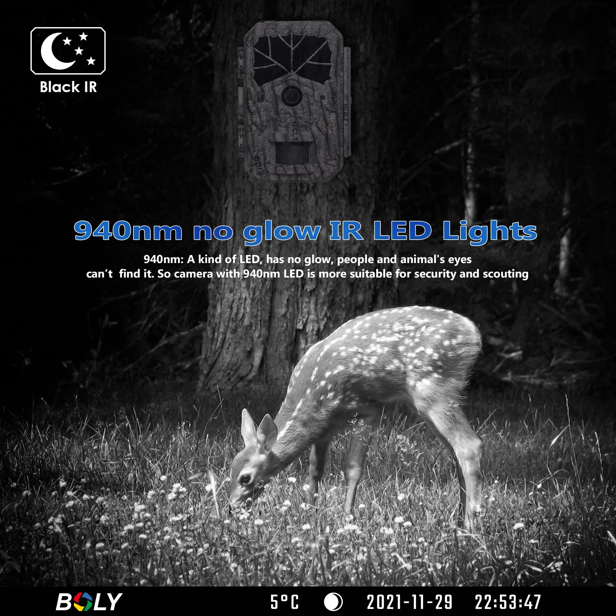 Caméra BolyGuard 64MP 1080P vision nocturne starlight étanche haute gamme pour observation faune extérieure