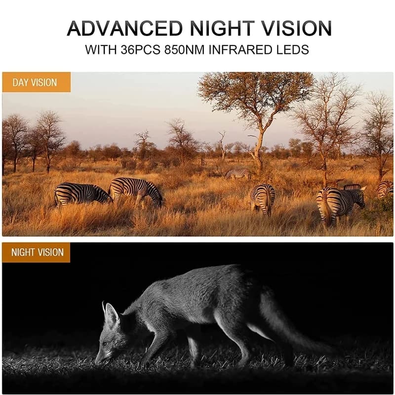Caméra chasse 4K WiFi solaire étanche IP66 - Phototrappage professionnel avec vision nocturne avancée